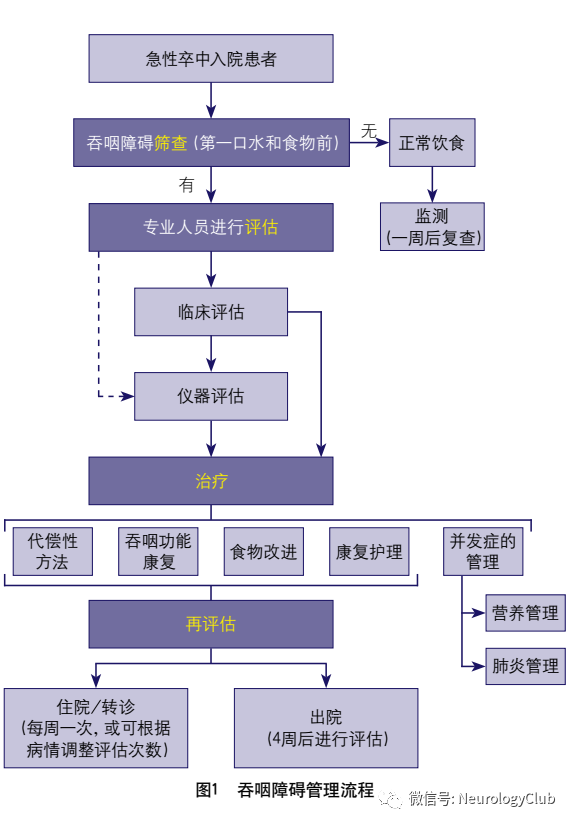 神经指南中国卒中吞咽障碍与营养管理手册