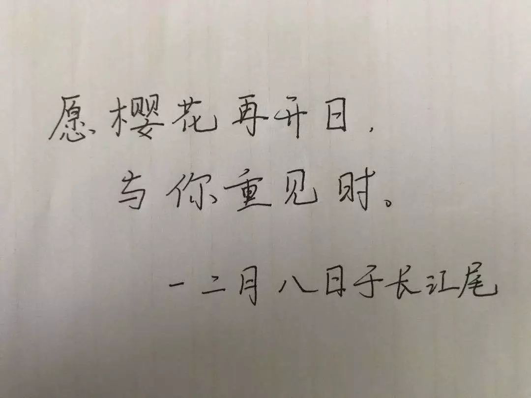 盼春归珈没有被禁锢的城只有离不开的爱