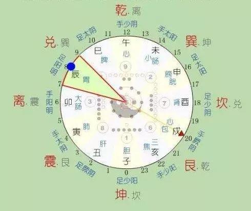 低烧一晚上怎么办