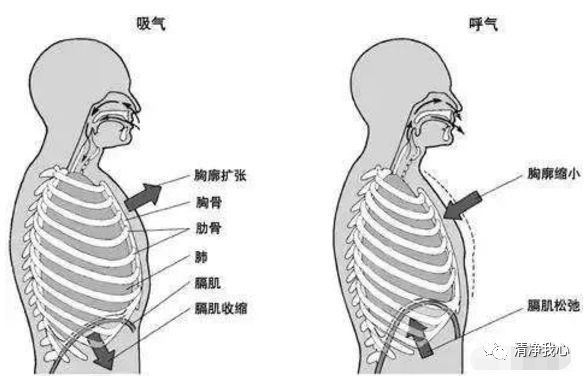 9880aae7d58146fca913daadb88822db.jpeg