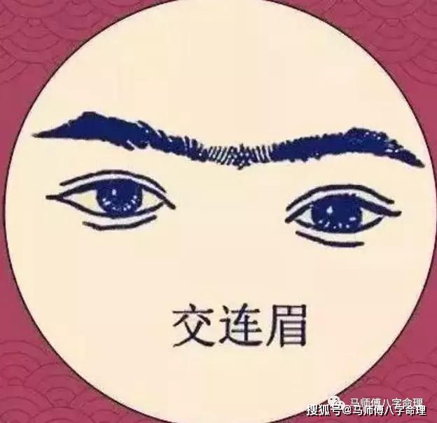 面相看5种破财的眉毛_马师傅命运预测_新浪博客