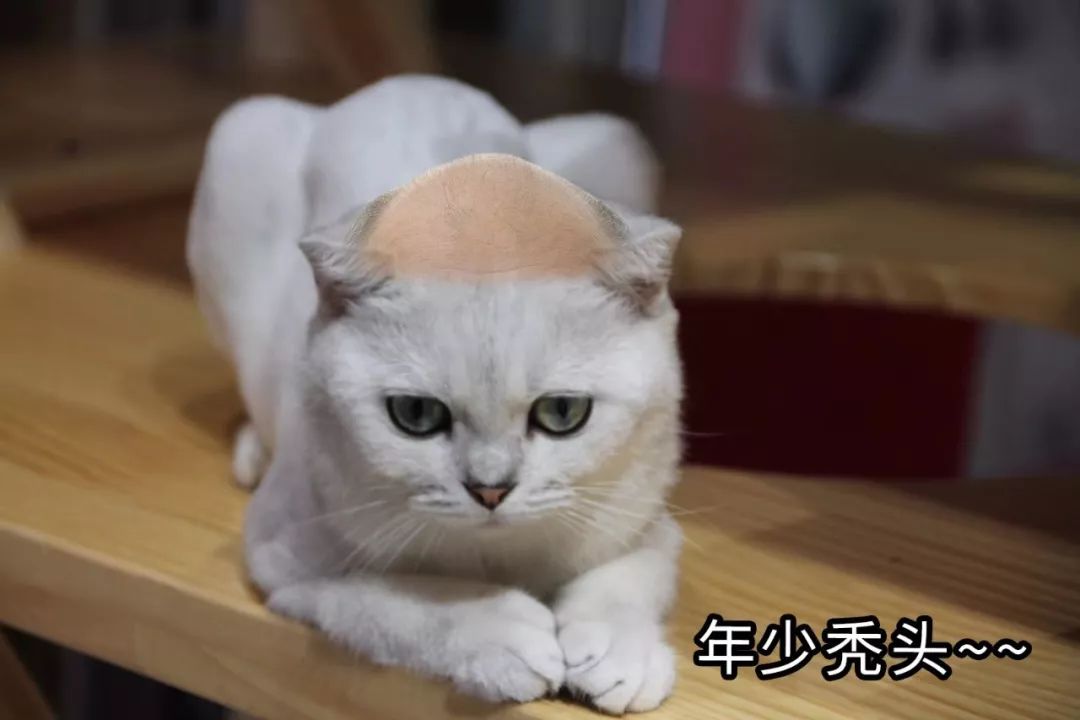 10连板“妖股”大跳水！“疫情股”炒作真就结束