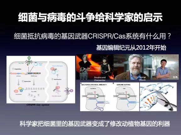 流感并发症死亡率不低，为何我们不恐惧