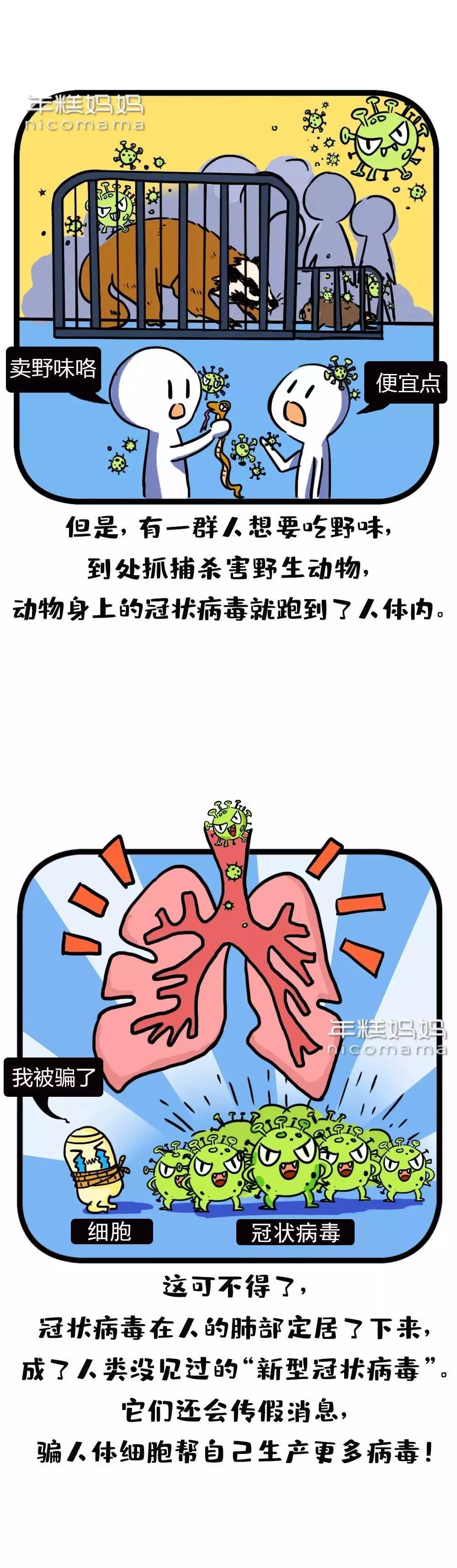 『鄂尔多斯气象』给在家待不住的“熊孩子们”讲的小故事