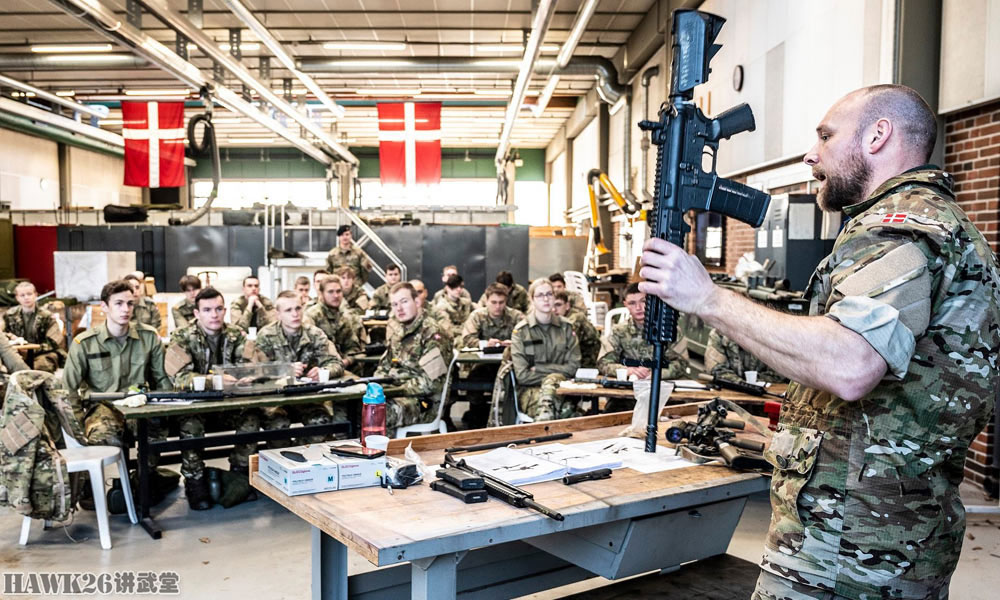 丹麦新兵训练营的酸甜苦辣：HK416非常酷体能训练让人叫苦不迭_进行