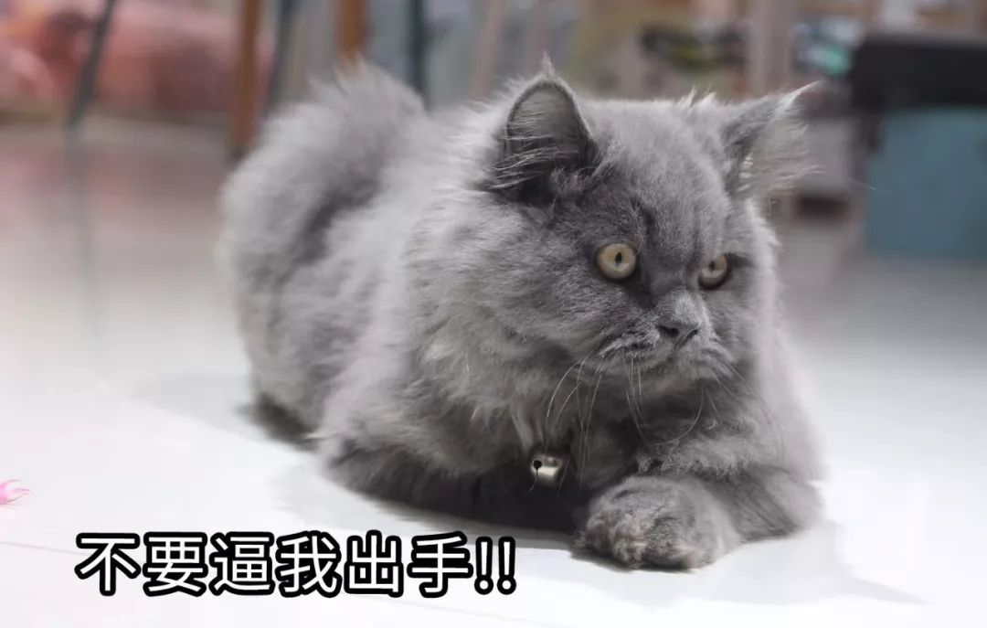 10连板“妖股”大跳水！“疫情股”炒作真就结束