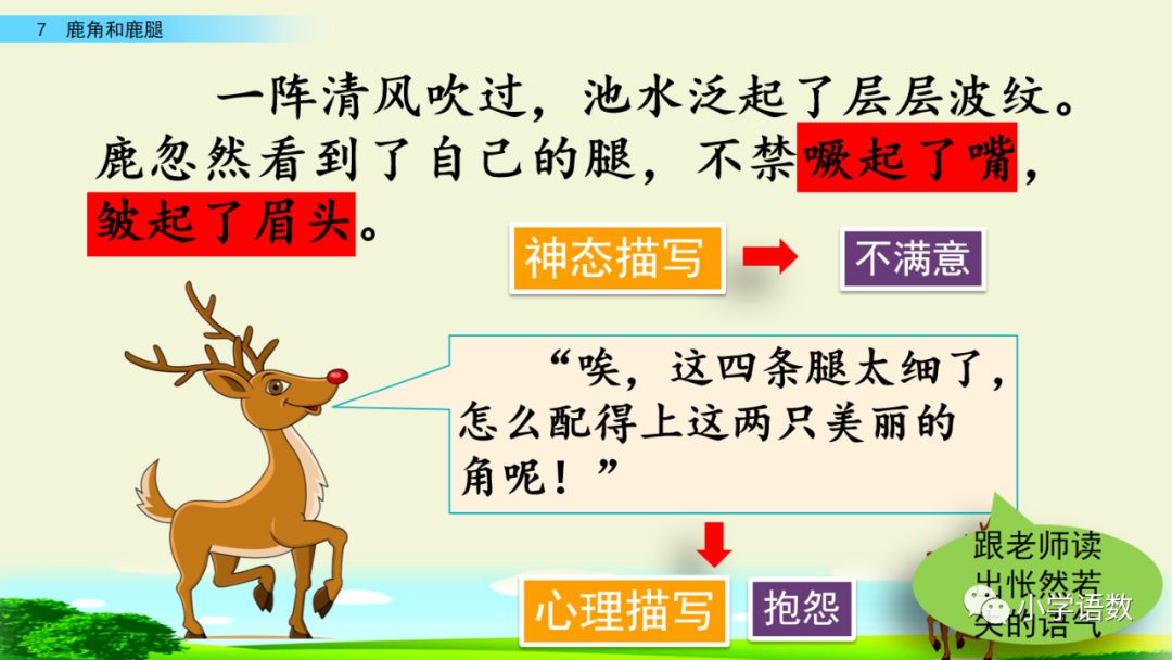 宅家语文课丨三年级下册第7课鹿角和鹿腿图文讲解