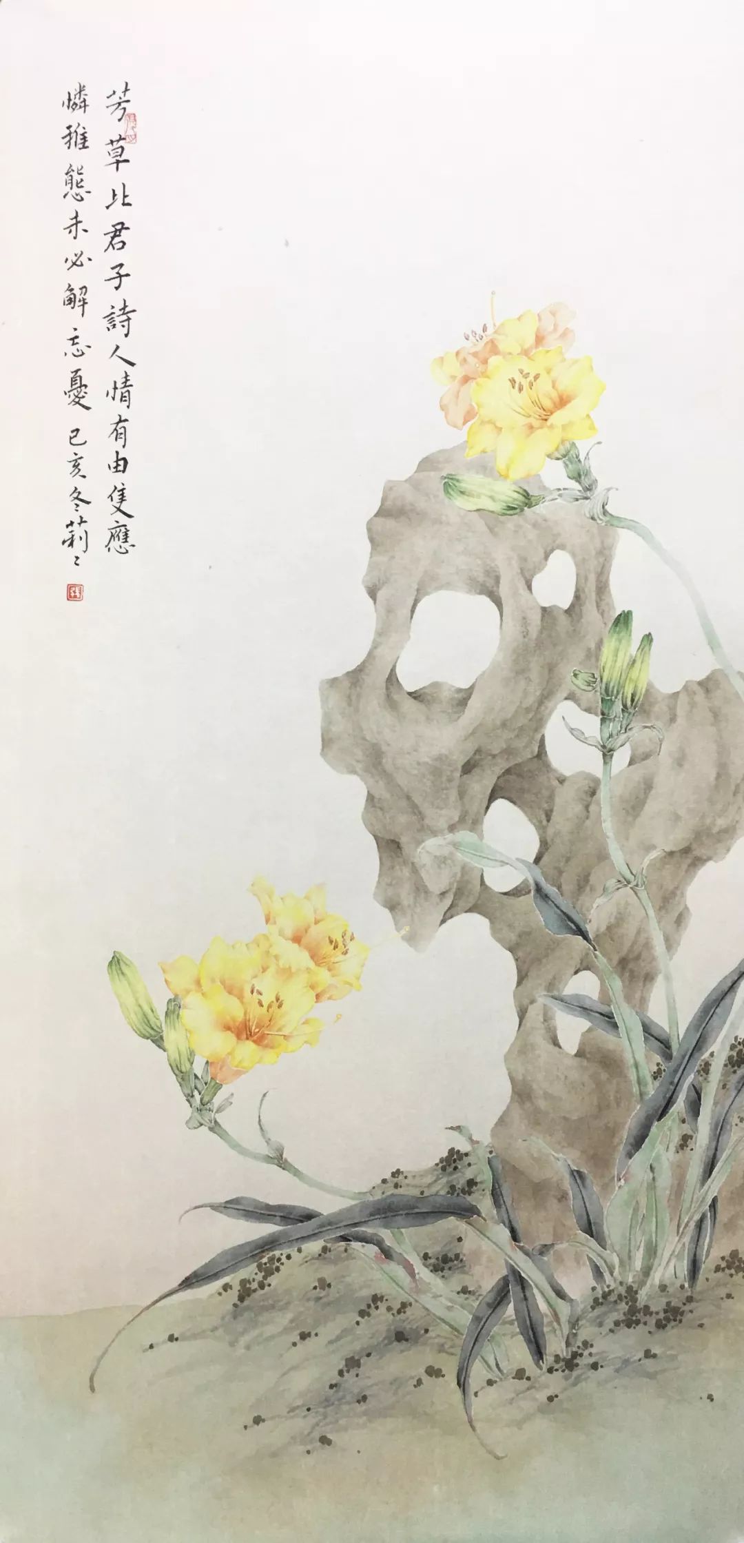 张莉莉|2020年没骨牡丹太湖石花卉班(3月3日开课)