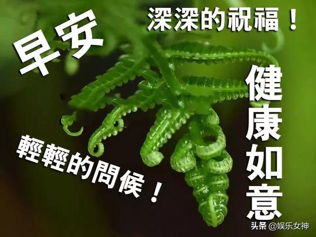 2020最美早安问候语漂亮图片,早上好暖人心的祝福句子