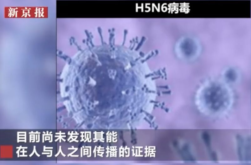 新冠状病毒澳洲大火东非蝗虫全球地震2020年还会好吗