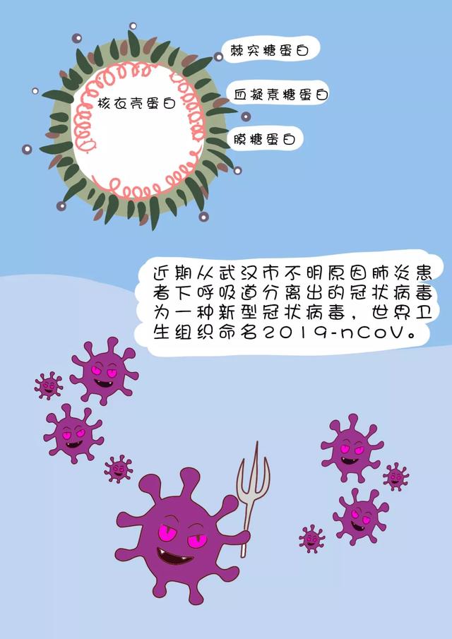 闲话漫说科普:36·新型冠状病毒