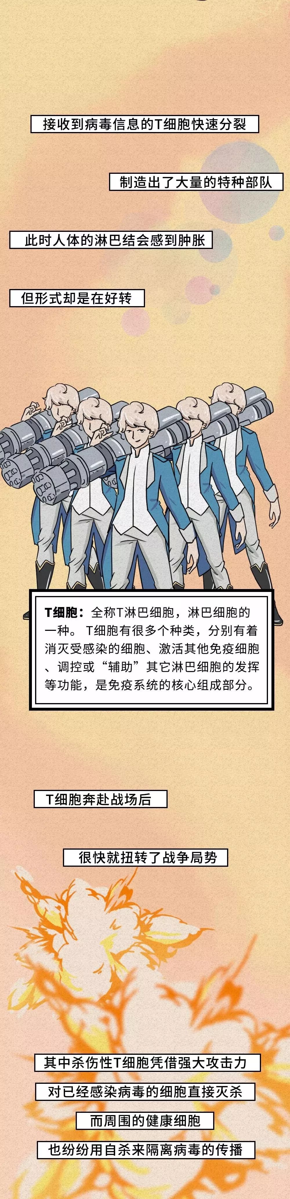 一张图带你了解"新冠战役"全过程