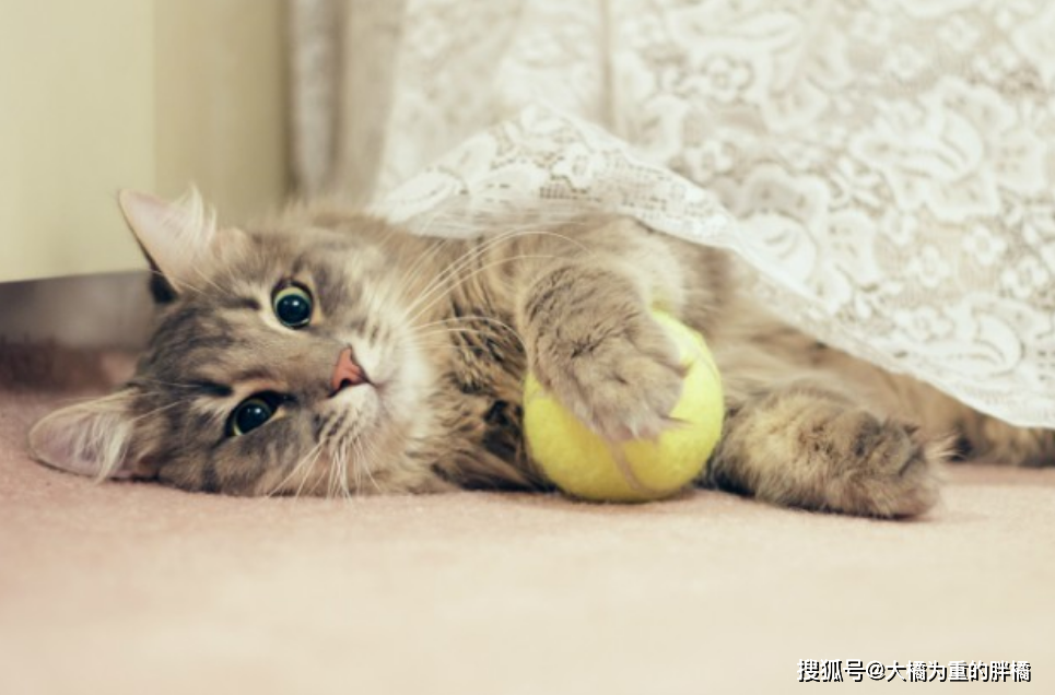 2f605f5d045048deb4cd23779d0e34d0.png