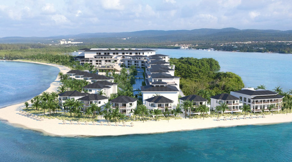 她让数十人感染伤寒，自称遭迫害拒隔离，被美