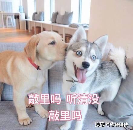 35235cc2b5bf4441ac7d8f9125f34174.jpeg