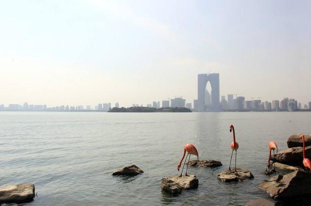常熟2020年上半年GDP_常熟理工学院(2)