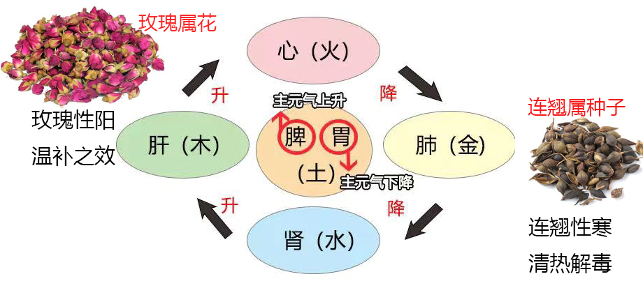 人均的妙用_旧轮胎的妙用图片大全(2)