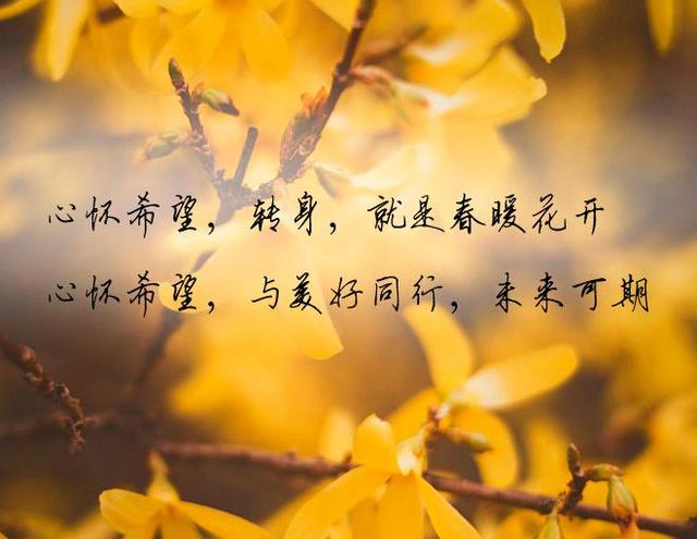 心怀希望,与美好同行,未来就会可期,人间便会值得!