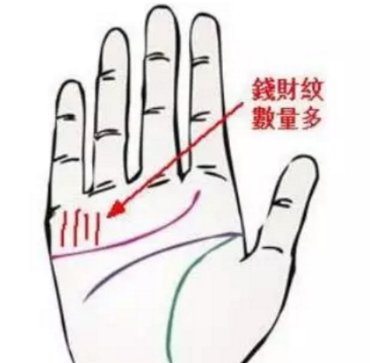 双生命线 667c658e8b2640898fe0d2d295f4abb2.jpeg