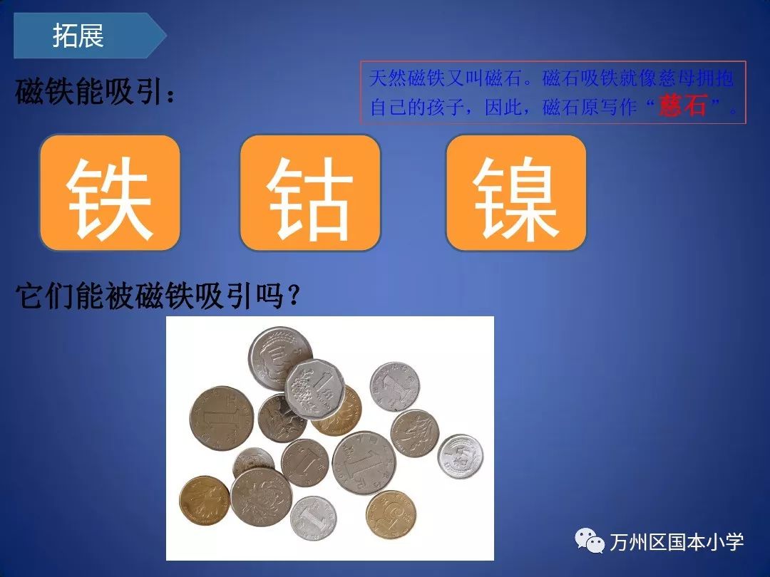 国本小学停课不停学线上教学二年级科学课_搜狐网