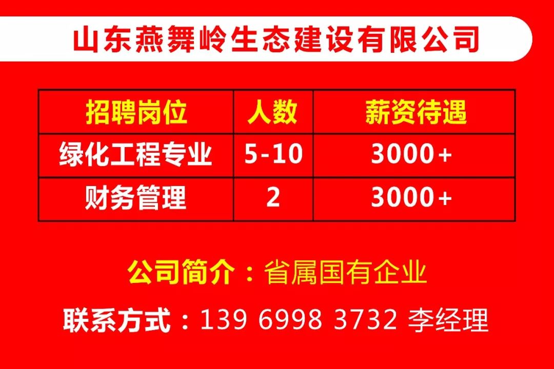 临淄招聘信息_2021年淄博临淄区招聘中小学教师100人报名入口(3)