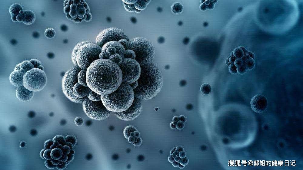 18世纪天花病毒在欧洲肆虐,随后300年间多次在欧洲爆发疫情.