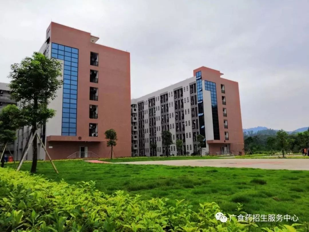 学考招生|广东食品药品职业学院2020年学考招生计划!
