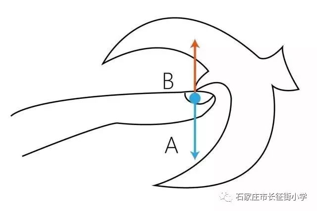 平衡鸟的原理_2原理平衡鸟之所以会平衡,仅仅因为整只鸟实际的重心在嘴尖这点的下方.