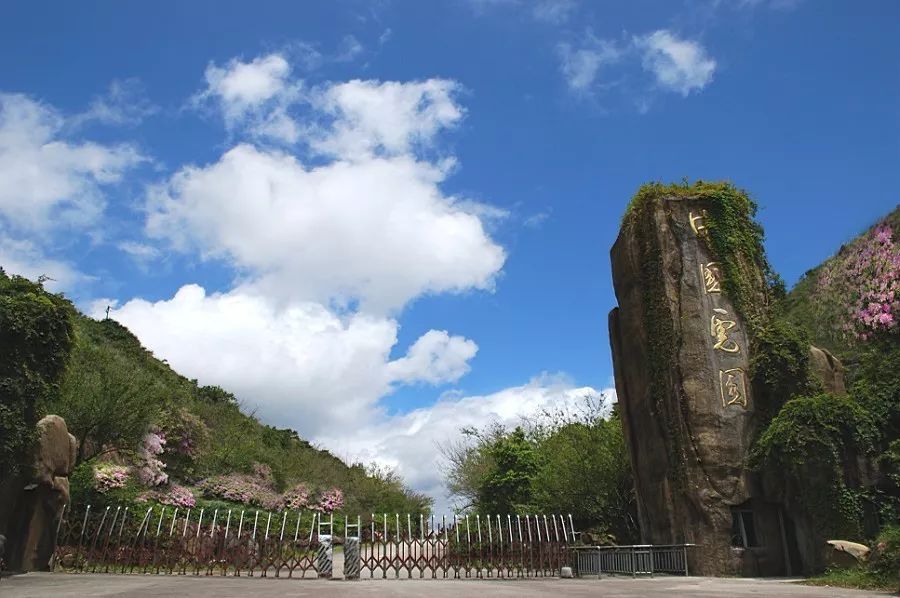 上杭梅花山——华南虎最理想的栖息地