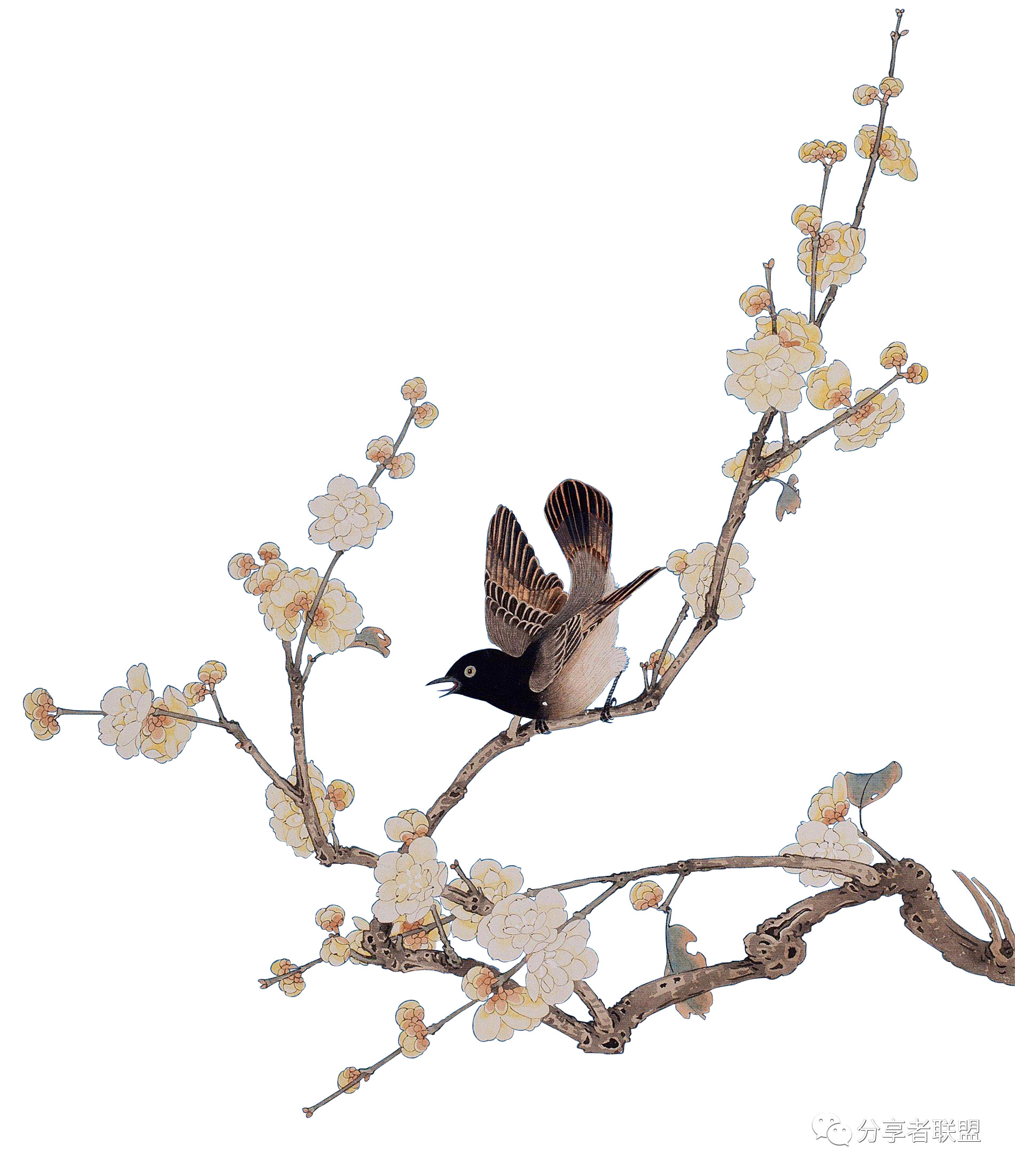 【干货】今日份资源:psd素材模板