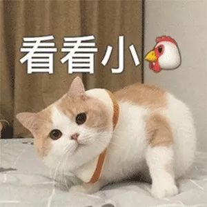c86e06de92a349678c3c018be846508c.jpeg