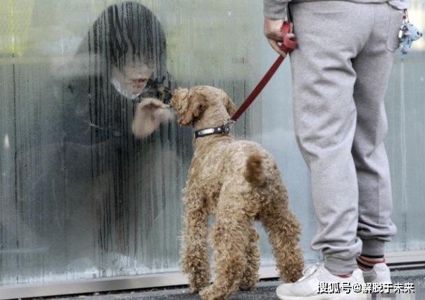 核泄漏是多么可怕的事情,一起来看看日本核泄漏后的变异生物吧