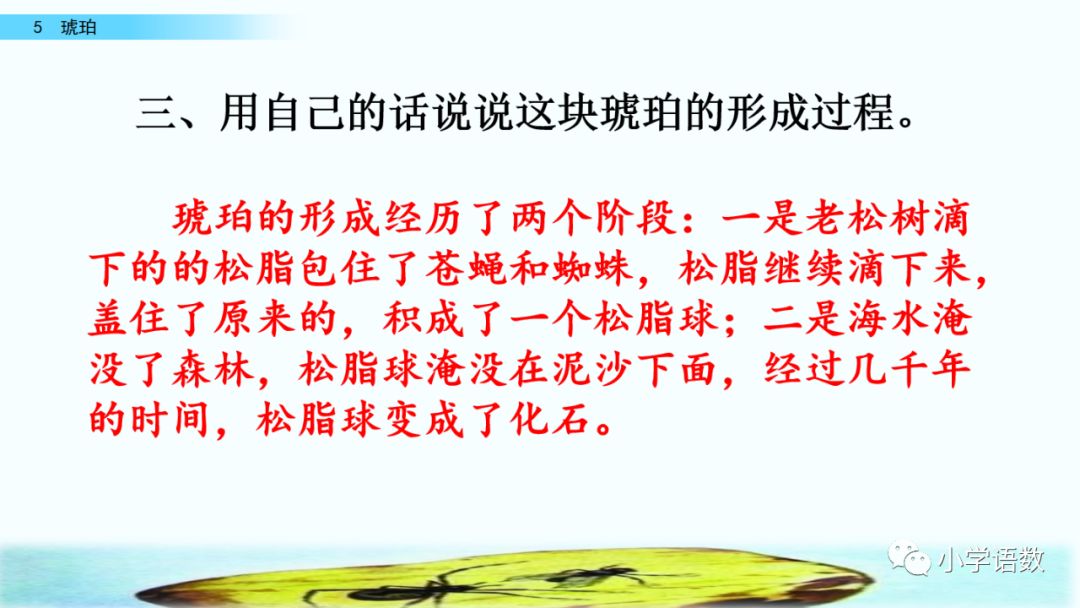 如"课文为什么说"从那块琥珀,我们可以推测发生在几万年前的故事的