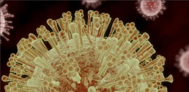 超长的潜伏期（最多可潜伏24天），是一种危害性、传播性都较强的病毒。ncov病毒为单链rna病毒，具