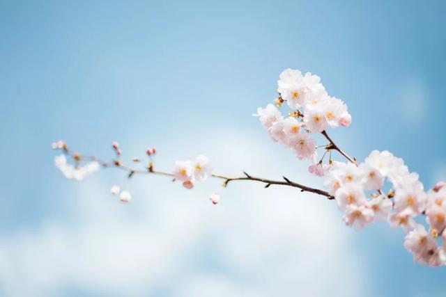 什么时候算是春天结束 0a1a533a085d44038d5977b73c7c2df3.jpeg