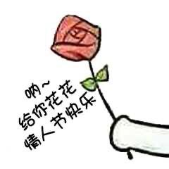适合情人节发的表情包呐给你花花情人节快乐