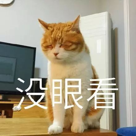 “我家猫，竟然让我给它准备钱养老…”