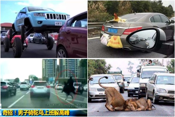 如何简单快速的了解车 28a206b35b994ee292445b72f65f2b34.jpeg