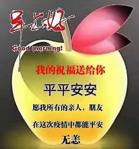 不止春天,还要疫情过后,平安的你;早安