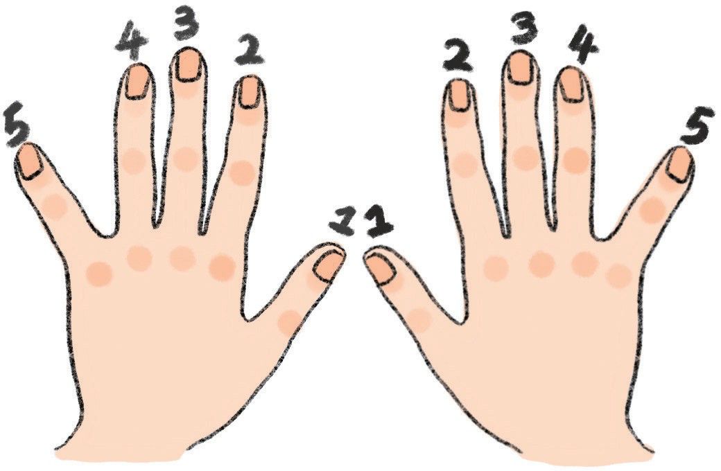 6. 认识手指