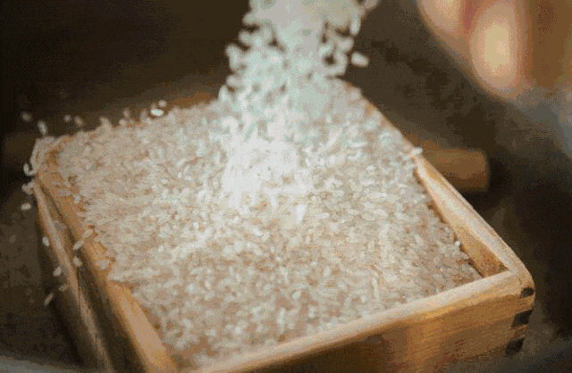 2cc24432651349459b7dd497052d988a.gif