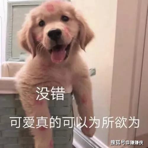 什么才叫真正的熬夜 2ce764c06999444694d71c333dc3a627.jpeg