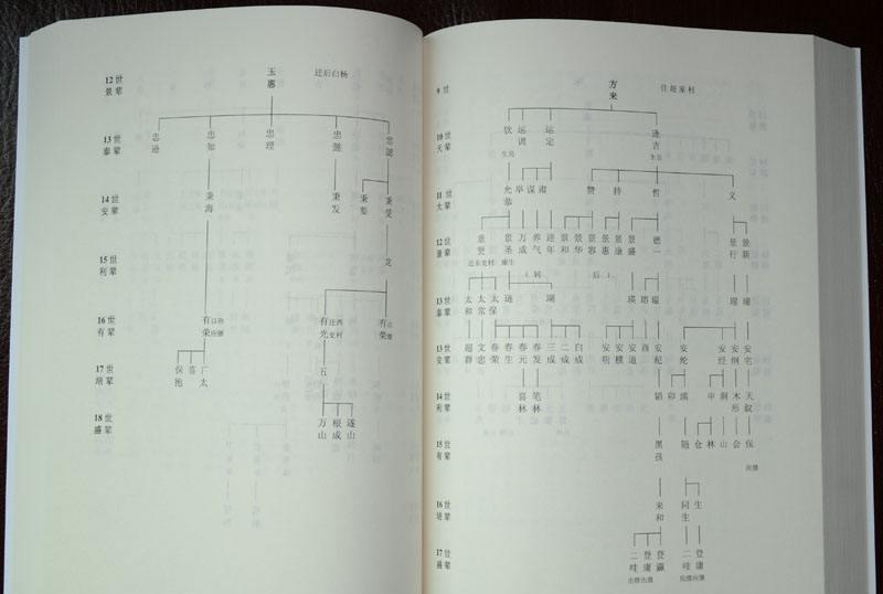 潘氏家族谱群人口_人口普查(3)