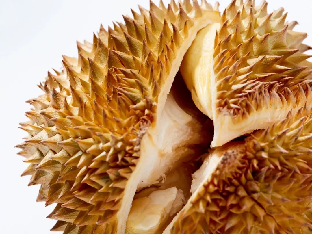 金枕榴莲怎么挑选果肉香甜 3065cbaac29a44de99aafaed21b4a012.jpeg