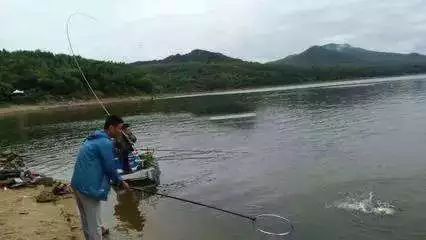 3ea21e21cf884ede8132c9285f35a00b.jpeg