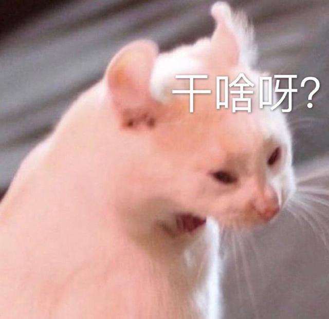 5b9cf6881b6f47c2be1ae1a6cb17dbd4.jpeg