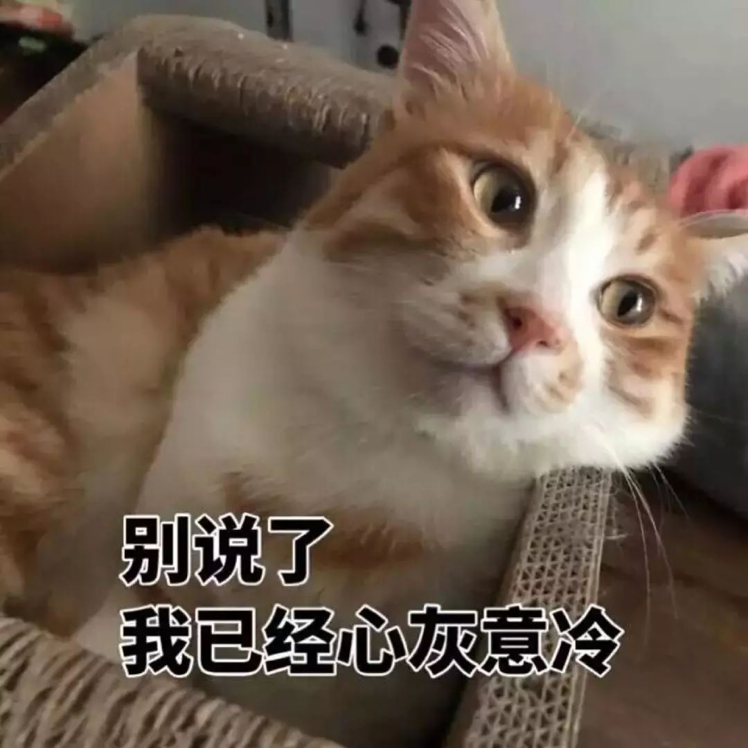 “我家猫，竟然让我给它准备钱养老…”