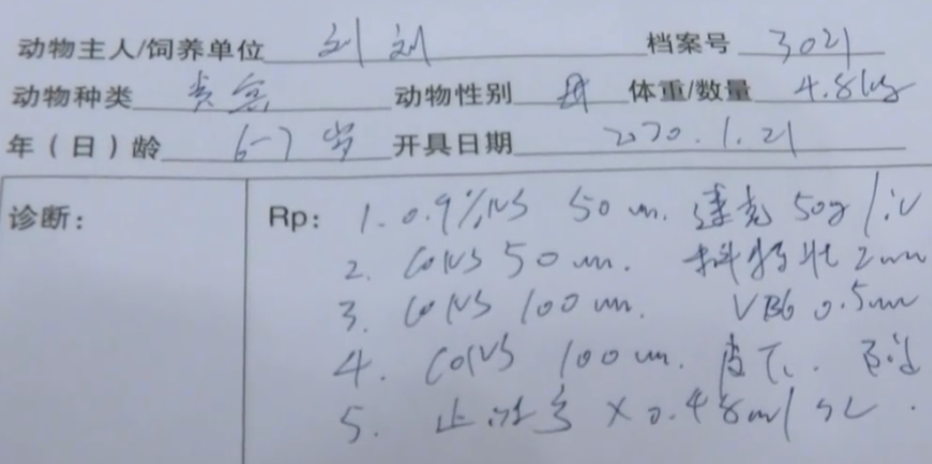 泰迪熊简谱_泰迪熊简谱只要数字(5)
