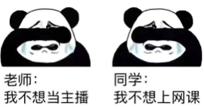 钉钉被喷下架河南新闻app蹭网课登上榜首网课魔幻众生相
