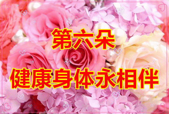 明天2.14情人节,9朵爱的玫瑰送给在乎的你,愿你开心幸福